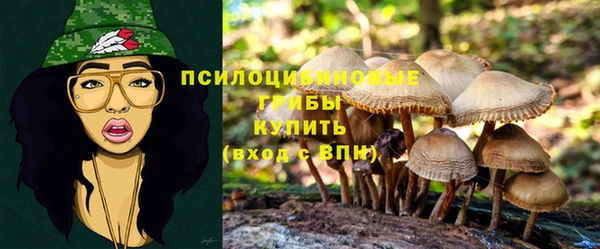 мескалин Горняк