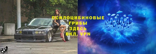 трава Горнозаводск
